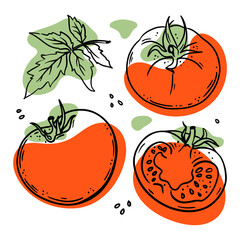 TOMATO Delicious Vegetable Whole And Slices With Leaves For Design Of Organic Natural Products Shop And Dessert Drinks In Sketch Style Vector Illustration Set