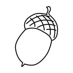 Acorn. Oak. Doodle style. For decorating postcards, covers, texts. Vector outline illustration.  Isolated on a white background