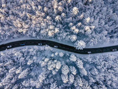 top view of beautiful road in winter forest, aerial landscape 