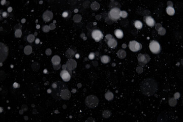 Falling snow out of focus on the black background. Design element for overlay. Snow layer for design