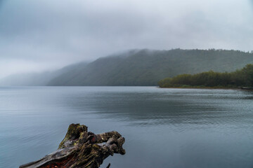 Gifford Pinchot National Forest - Coldwater Lake, Washington State