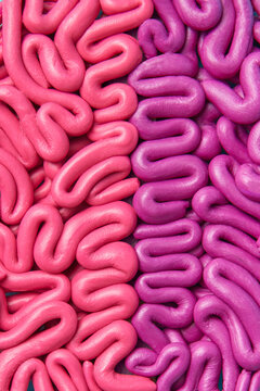 Closeup of colored bright brain