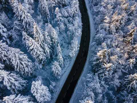 empty road in winter forest seen from above