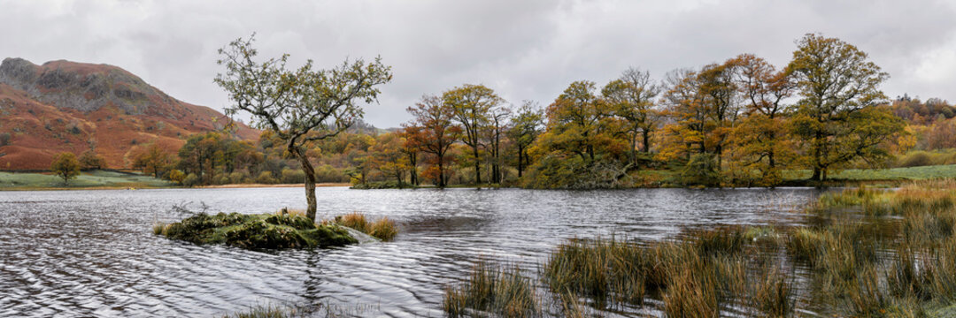 Rydal water in Autumn the lake district