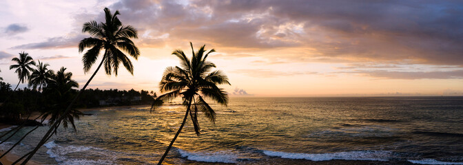 Sri Lanka beach and palm trees sunset