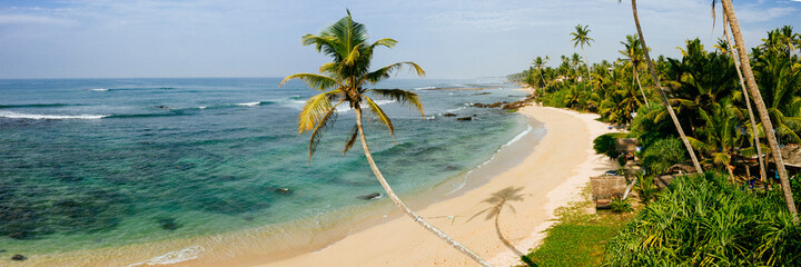 Sri Lanka beach and palm trees