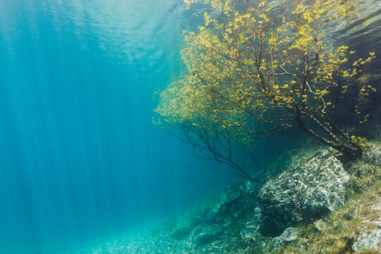 Green Lake Gruner See in Austria