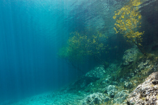 Green Lake Gruner See in Austria