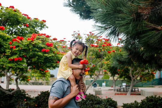 Laughing young asian girl holding flowers riding on dad's shoulders
