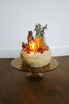 Birthday cake with forest theme