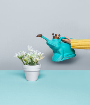 Miniature still life of a plastic doll watering a white flowers plant with a frog shaped watering can