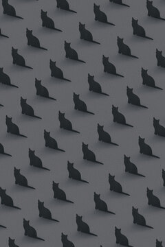 Black cats
