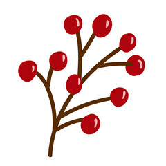 Bunch of rowan berries isolated on white background. Vector illustration