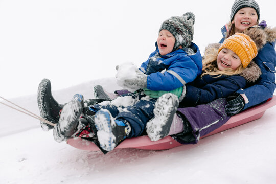  three happy  kids  in  a sled 