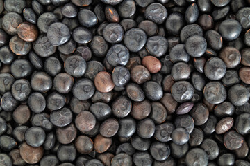 Beluga lentils, close up. Top view of many tiny black organic lentils. Legume with earthy flavor, firm texture and high in protein. Used as side dish, in soups and salads. Selective focus.