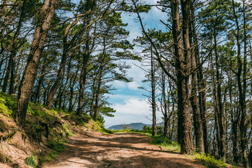 Treeking around Saint George's beach in Ferrol, Galicia, Spain.
