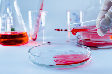 Medical laboratory. A hand in a medical glove pours blood into a Petri dish for analysis. Laboratory tests.