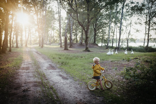 Boy with yellow raincoat and bike with sunset and geese