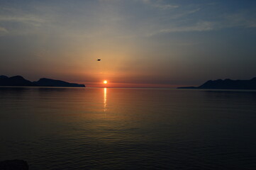 Sea Sunrise with bird fliying over orange sky - Pajaro volado en salida de sol. Cielo naranja. 