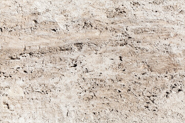 Shelly limestone panel, seamless texture