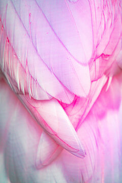 GENTLE ARMOR 03
