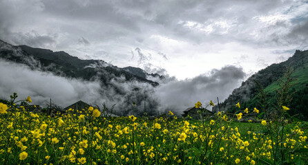Fog in the mountains. Spring scenic landscape in the Caucasus