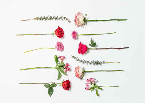Still life of flowers on white background