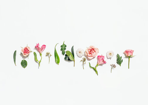 Flowers arranged on white background