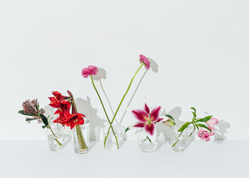 Flowers in glass vases on white background