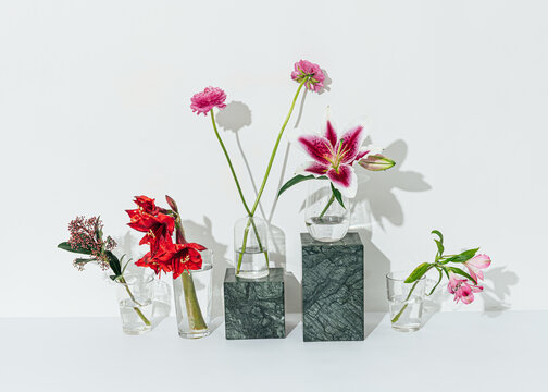 Still life of flowers in glass vases 