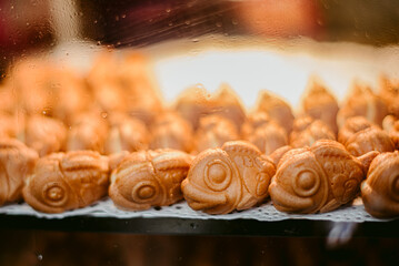 Fish shaped cookies behind window
