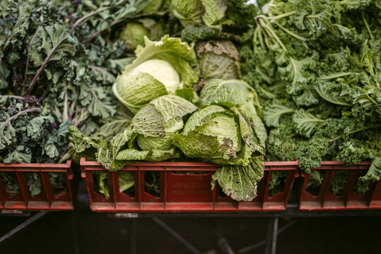 Fresh green vegetables on market
