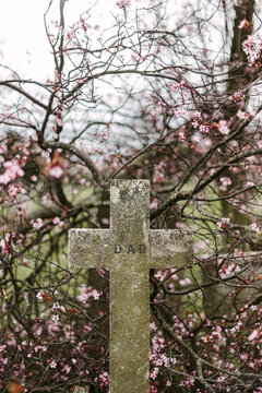 Shabby cross on grave near blooming branches
