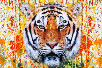 Tigerkopf mit kreativem abstraktem Element auf weißem Hintergrund © reznik_val
