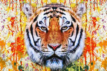 Tigerkopf mit kreativem abstraktem Element auf weißem Hintergrund © reznik_val