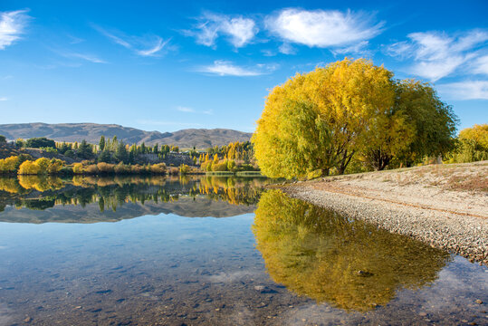 Autumn in Bannockburn Inlet, Central Otago, South Island, New Zealand