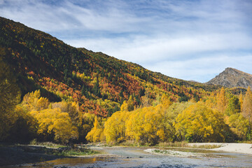 Autumn leaves in Arrowtown, New Zealand