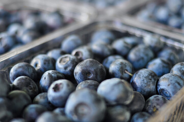 Blueberries in plastic bags in the stall macro view , blue background 