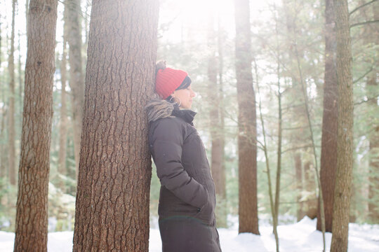 Finding Calm in the Forest