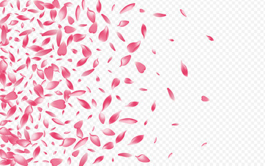 Light Apple Vector Transparent Background. Rosa