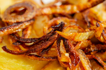 macro shot of fried onions.