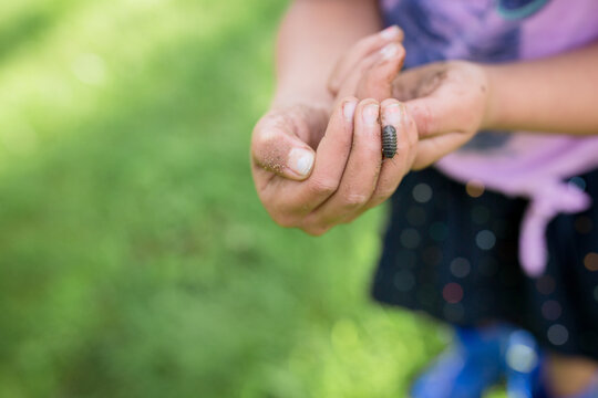 Girl lets potato bug crawl in her hands