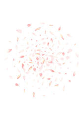 Transparent Sakura Petal Vector White Background.