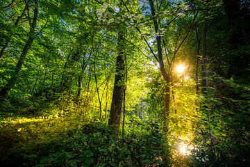 Valladolid ciudad histórica y monumental de la vieja Europa	