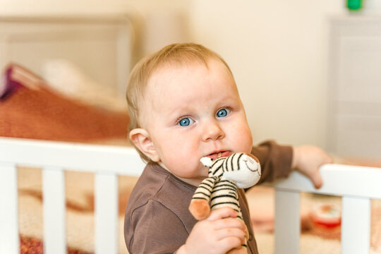 A small baby is standing in the bed holding on to the handrails and nibbling on a soft toy