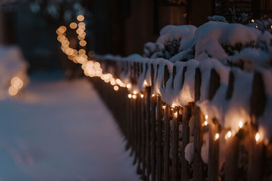 Snowy Scenes on a winters day