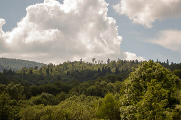 Krajobraz górski las wierzchołki drzew z dalekiej perspektywy na tle zachmurzonego nieba	