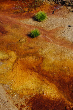 Colorful nature