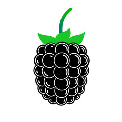 Shiny blackberry. Flat vector isolated on white.