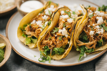 Shredded Chicken Tinga Tacos